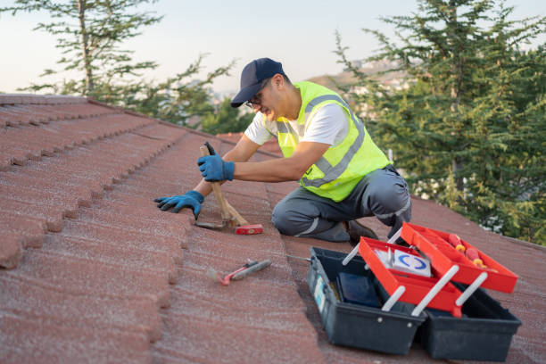 Quick and Trustworthy Emergency Roof Repair Services in Toronto, OH